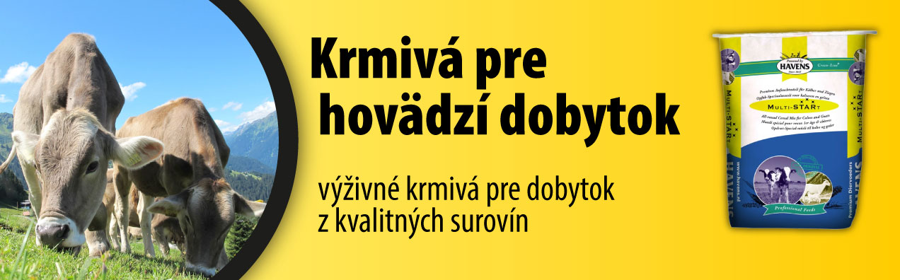 Krmivá pre hovädzí dobytok