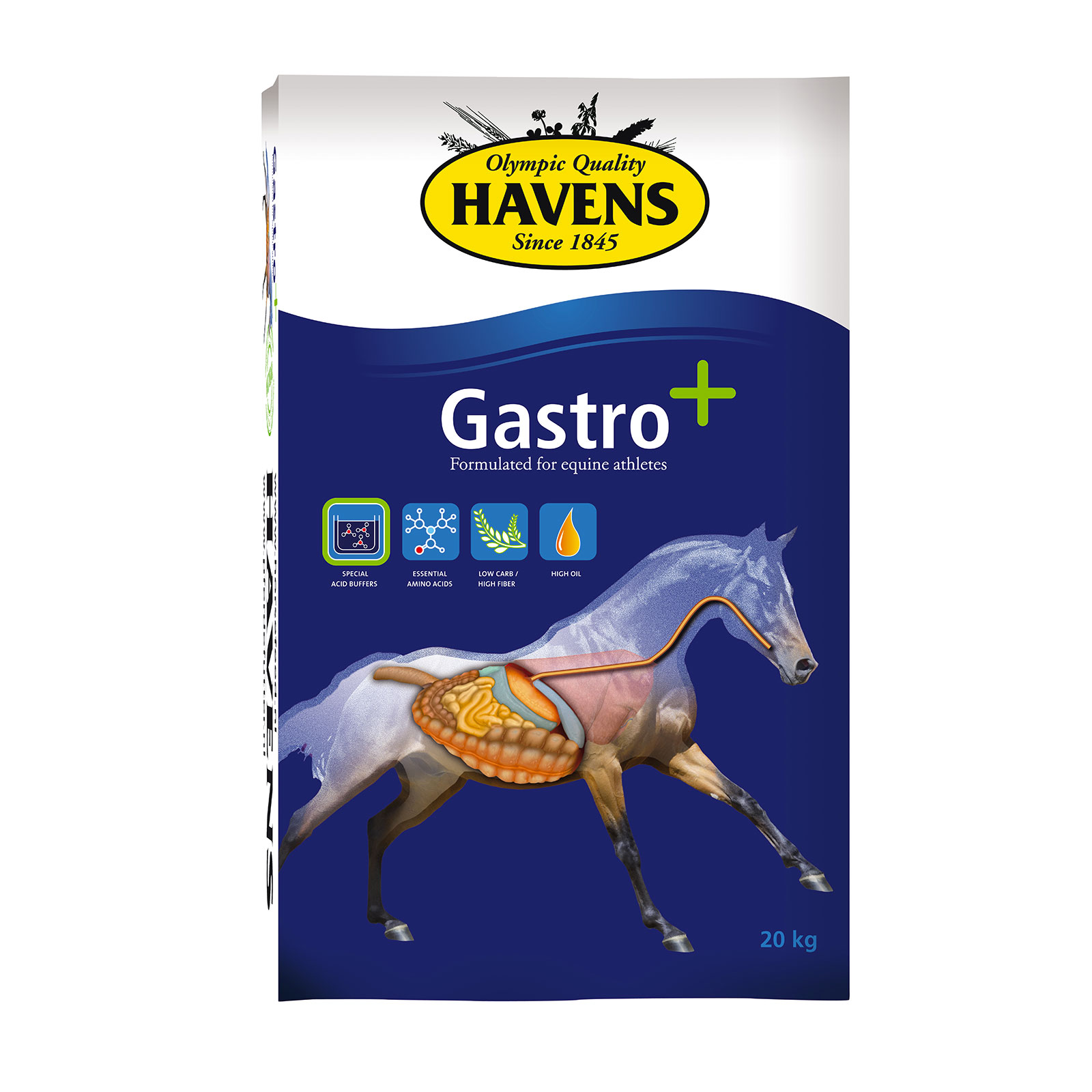 Gastro plus 20kg - 